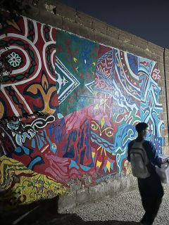 @sarahhhanis_ documented my mural in the Mamluk Desert in Cairo at night 

This mural was part of a workshop I organised at the beginning of 2026 about khayamiya for children in collaboration with @masq.hub, @archinosarchitecture, and @duco.eg, and with financial support from @kfhein